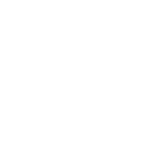 NX7 Logo